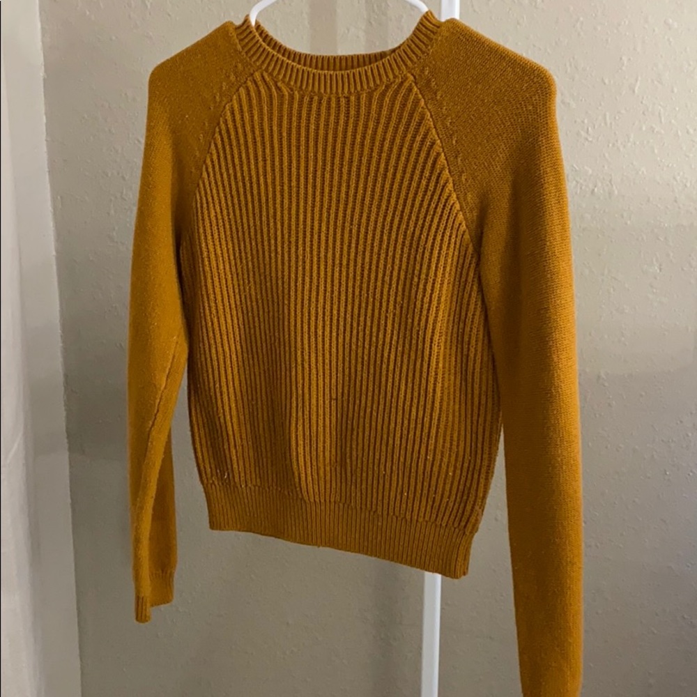 fall time sweater